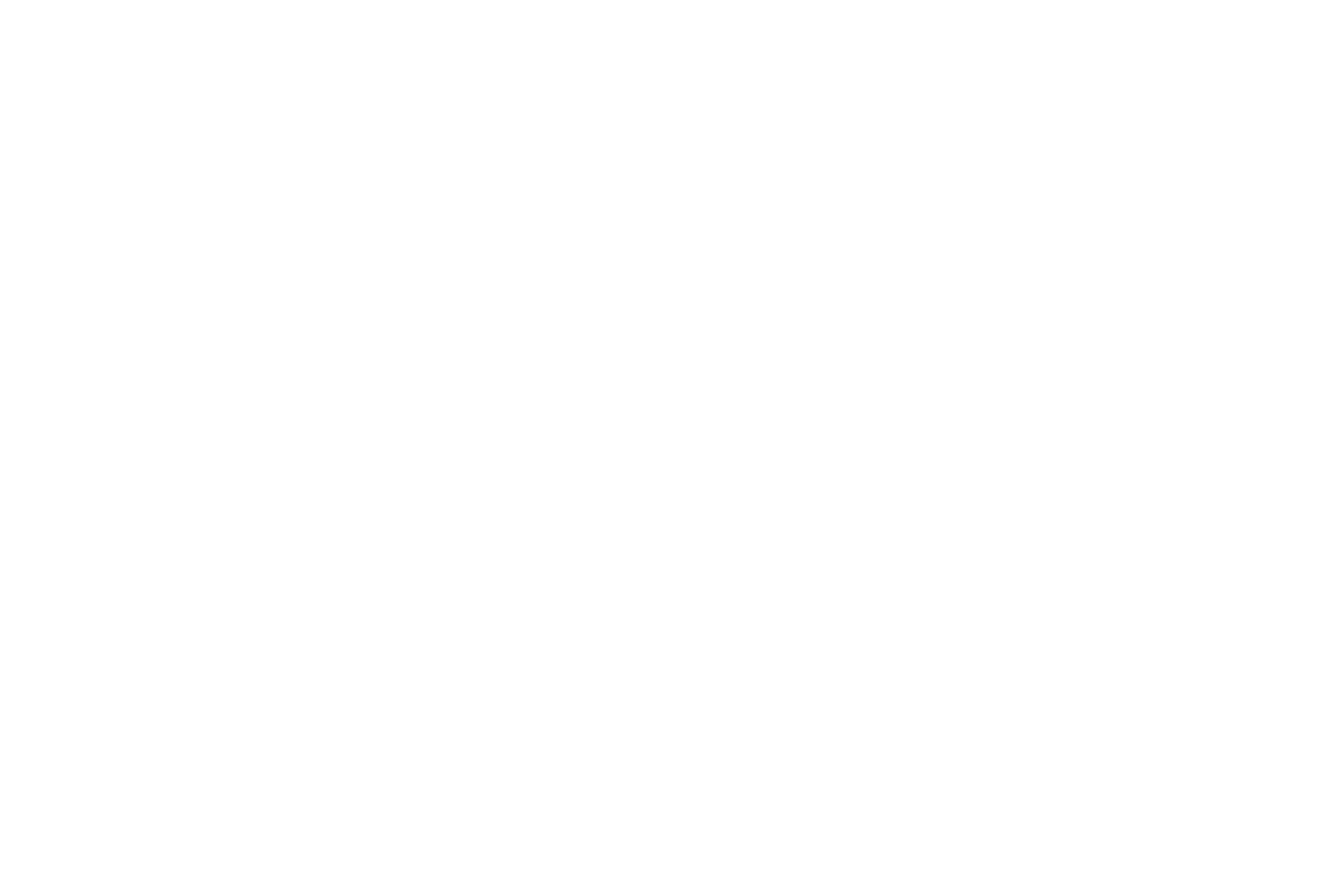 Nico Dettmer Photography